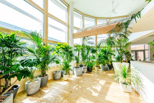 ca88(中国)官方网站